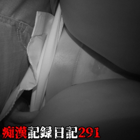 痴漢記録日記 291