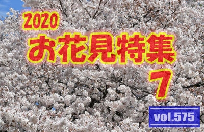 vol.575：2020年 お花見特集 第７弾