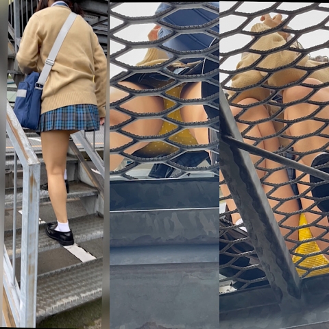 青チェを真下から撮影成功！