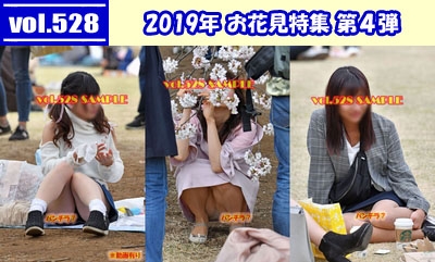 vol.528：2019年 お花見特集 第４弾