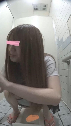 海のトイレを前から撮ってみたら１６大ハプニングなんと携帯中身丸見えヘビう〇こ